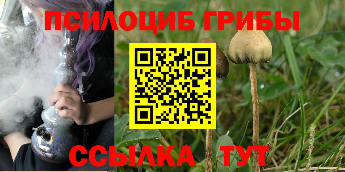 Кимры  Псилоцибиновые грибы ЛСД  Вход с VPN  Галлюциногенные грибы GOLDEN TEACHER 
