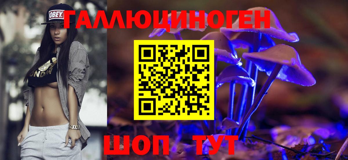 Псилоцибиновые грибы MAGIC MUSHROOMS Кимры